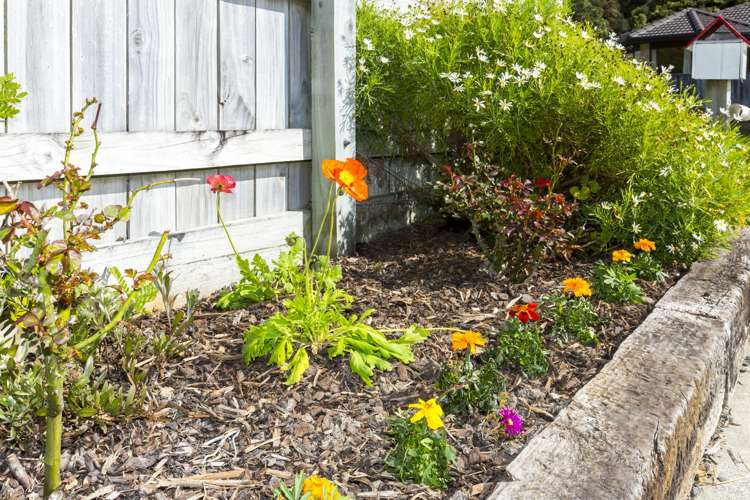 3 Aragon Grove Kingsley Heights_14