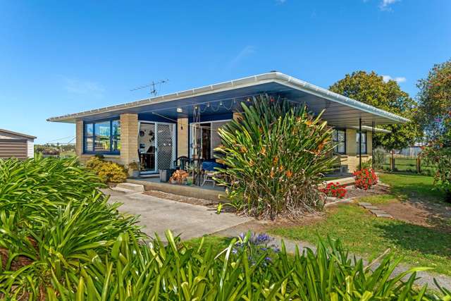 47 Cameron Road Makauri_2