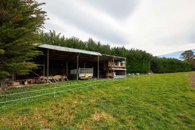 98 Fosters Road Cheviot_8