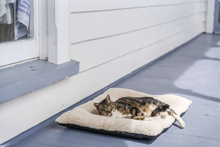 14 Charis Lane Wellsford_20