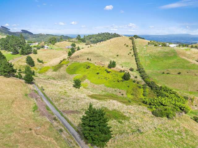 405F Rowe Road Ohauiti_4