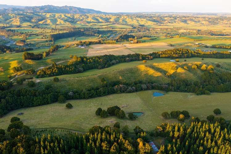 1527 Wakarara Road Ongaonga_5