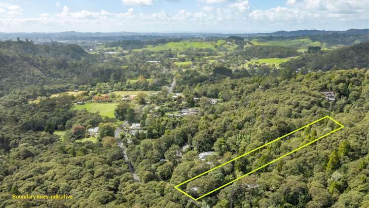 70 Mountain Road Henderson Valley_8