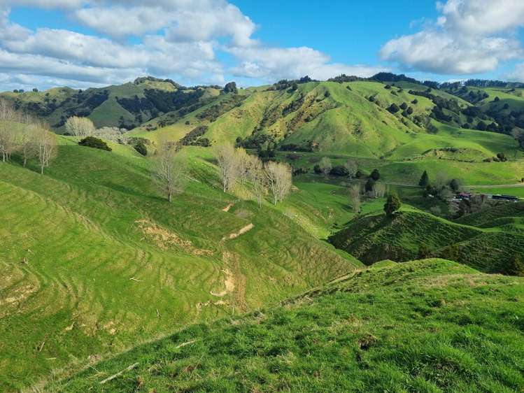 162 Okahukura Saddle Road Taumarunui_14