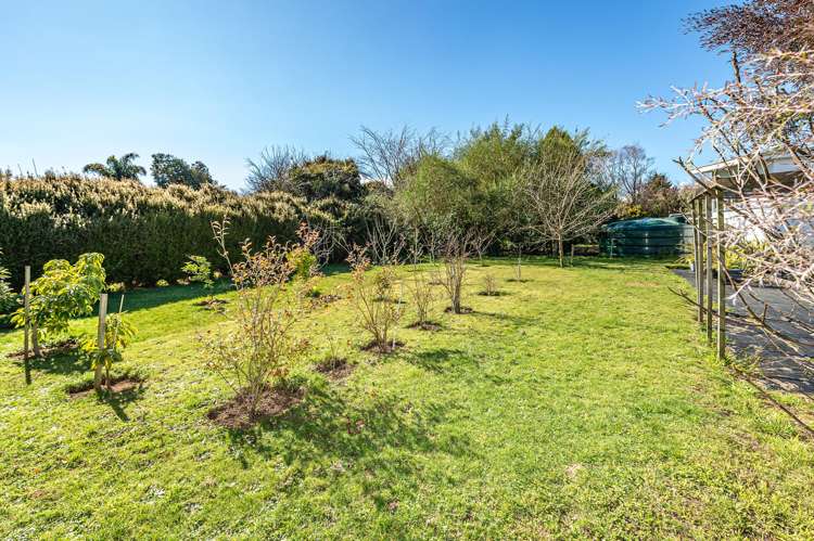 20 Lupton Street Waverley_21