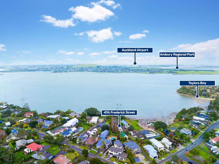 47a Frederick Street Hillsborough_18