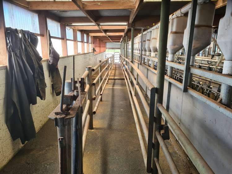 1384 Ihaia Road Opunake_9