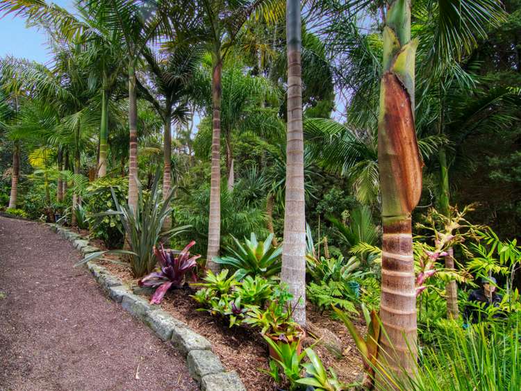 207 Godley Road Titirangi_21