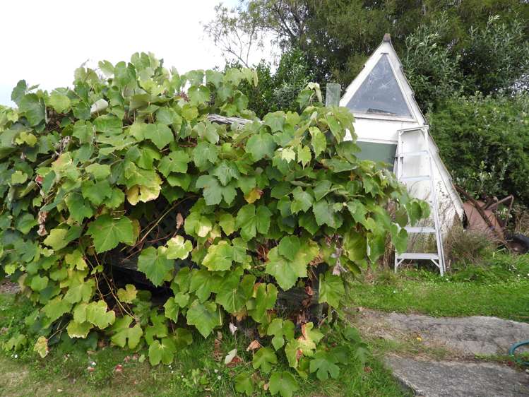 160 Eden Street Oamaru_16