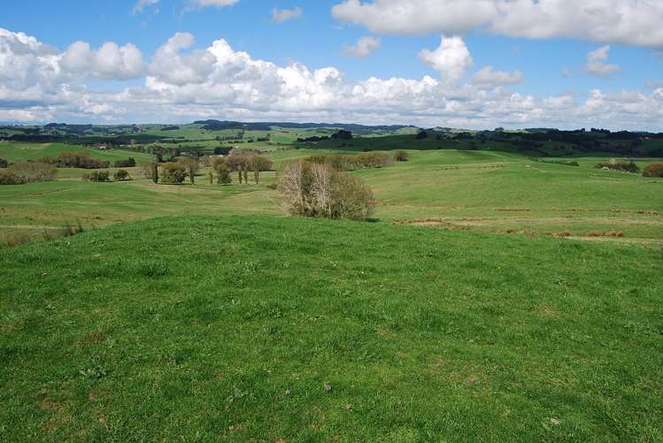 Kaiwaka-Mangawhai Road Kaiwaka_16