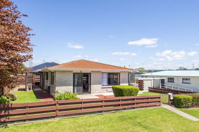 30 Emmett Street Greerton_1