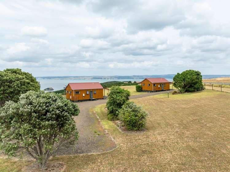 986 Tinopai Road Tinopai_14