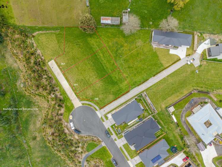 Maple Drive Putaruru_7