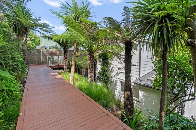 59 Pohutukawa Avenue Shelly Park_31