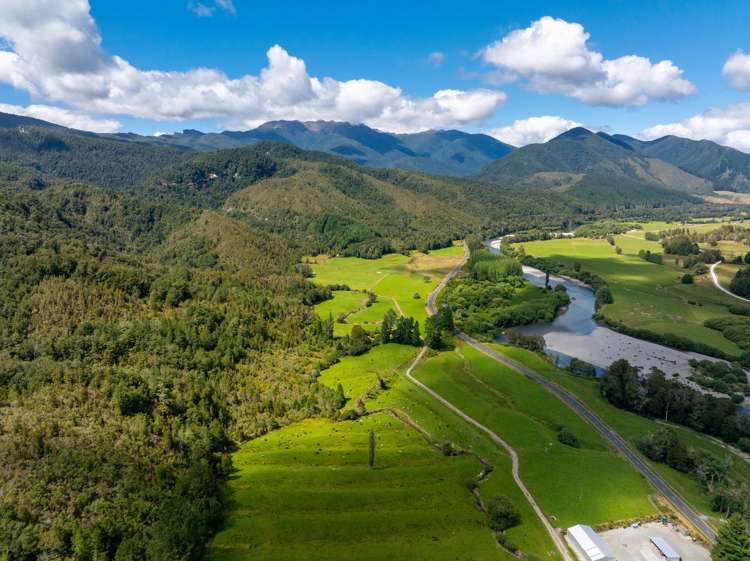 1153 Shenandoah Highway Murchison_23