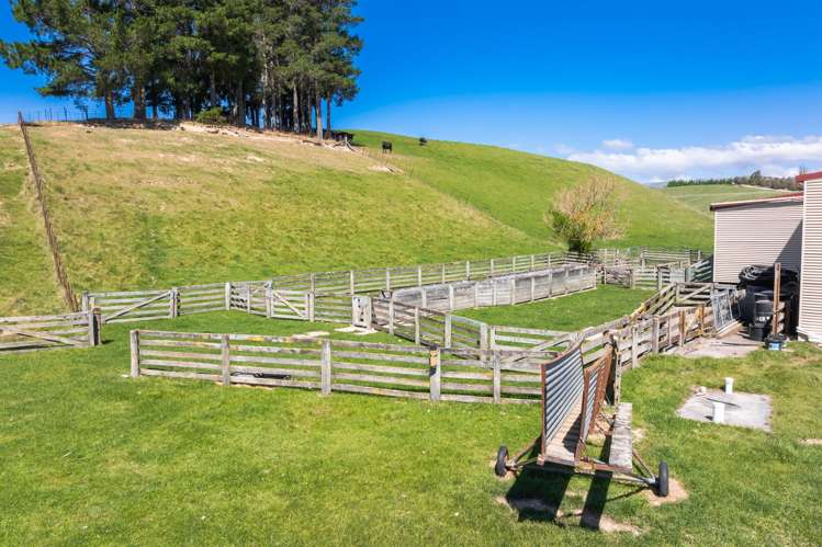 407 Brookby Road Fairhall_24