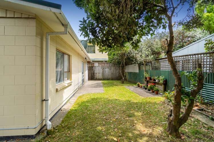 39B Mead Street Avondale_12