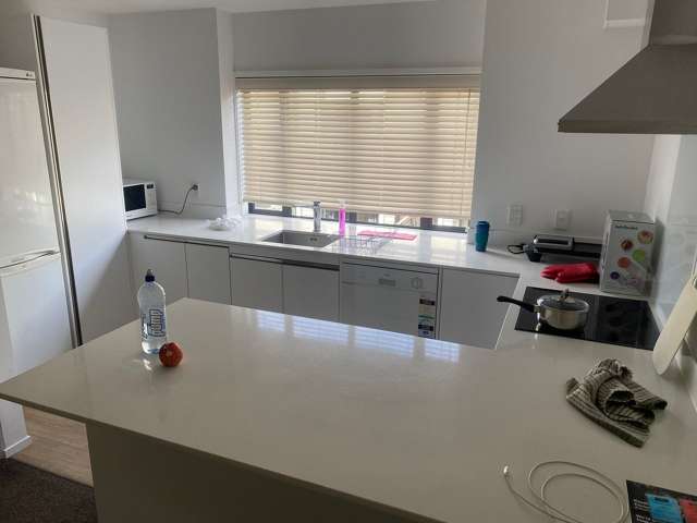 9 Sudbury Terrace Parnell_3