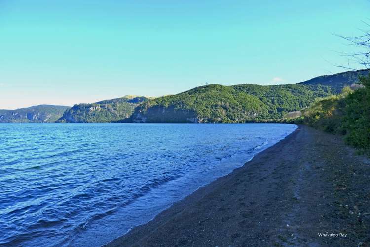 16 Olsen Place Kinloch_3