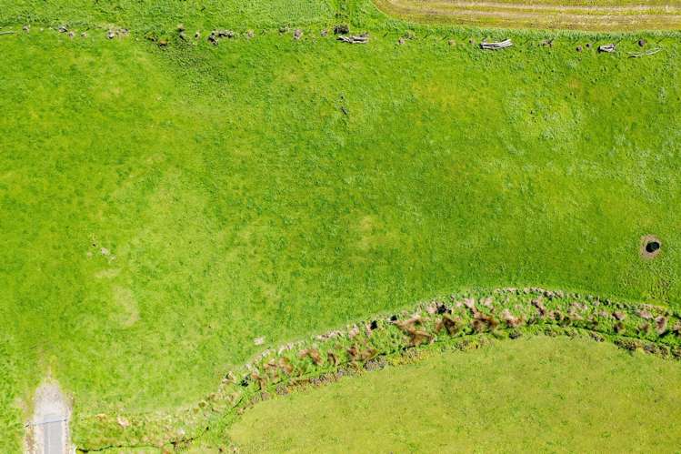 7104 South Road Warea_9