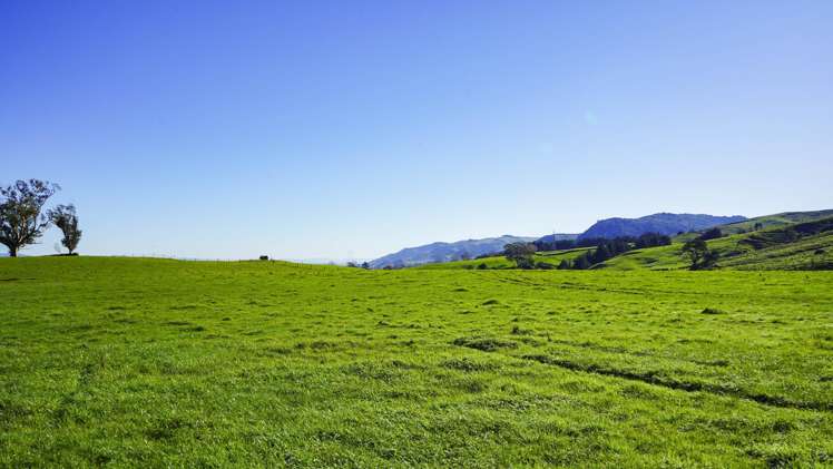 Lot 2, 3, 4,/151 Hill Road Te Aroha_2