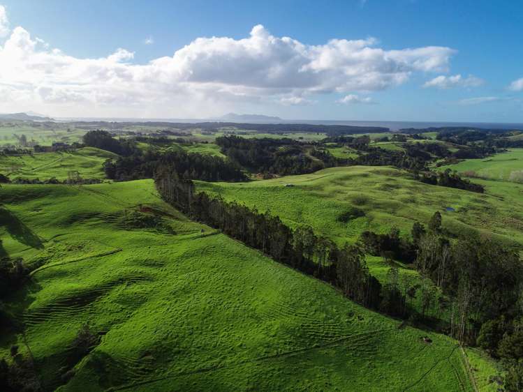 140 Te Arai Point Road Te Arai_14