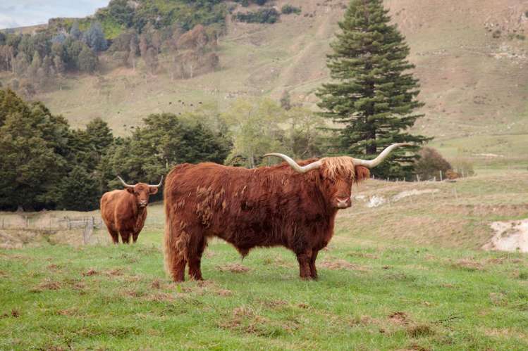 19 Body Road Manunui_8