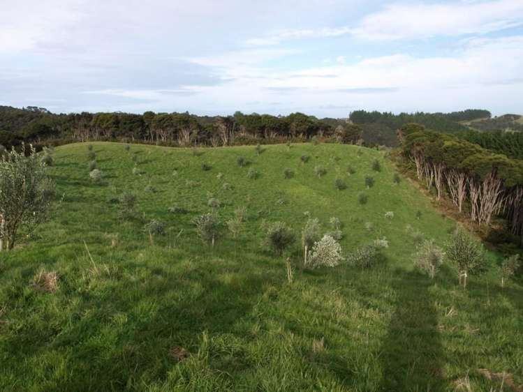 379a Cowes Bay Road Waiheke Island_11