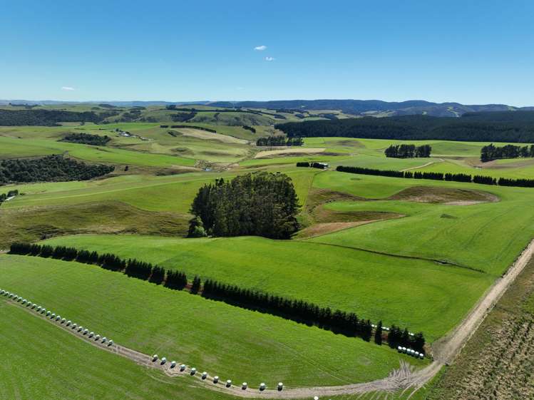 548 Mitchell Road Glenham_6