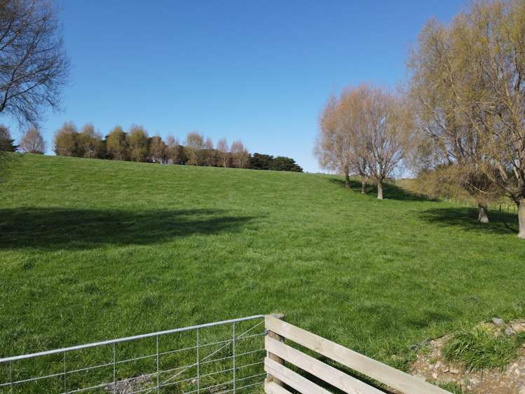 592 Pinfold Road Woodville_9
