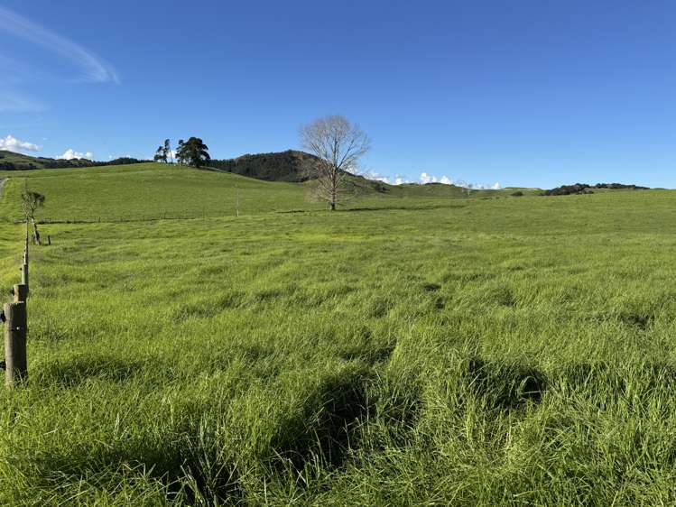 Lot 4 Greenhill Road_3