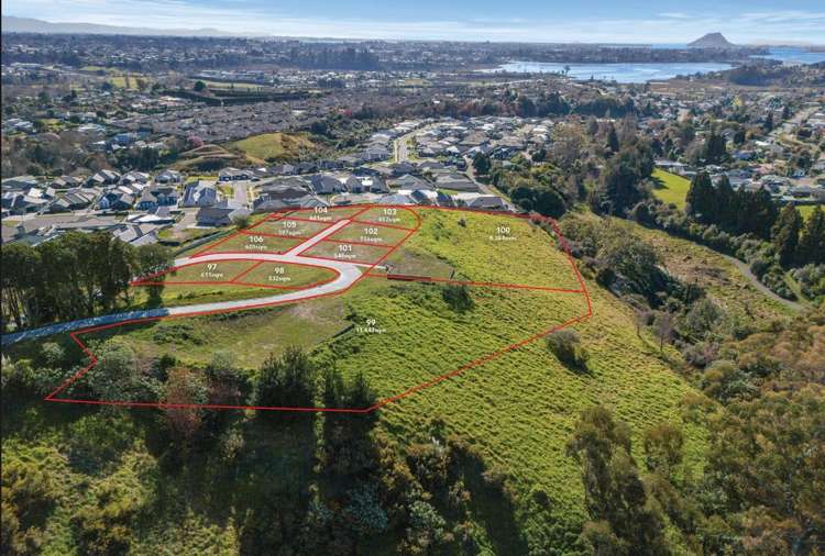67 Carmen Way Tauranga_11