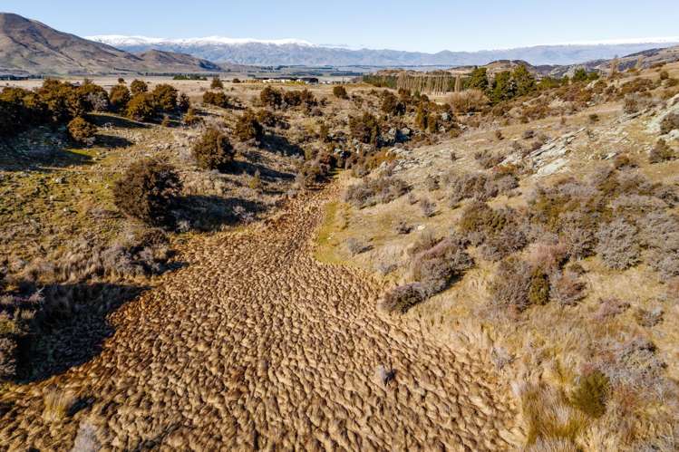 41 Totara Place Queensberry_11