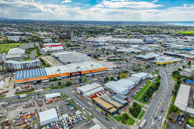 8 Astley Avenue New Lynn_21