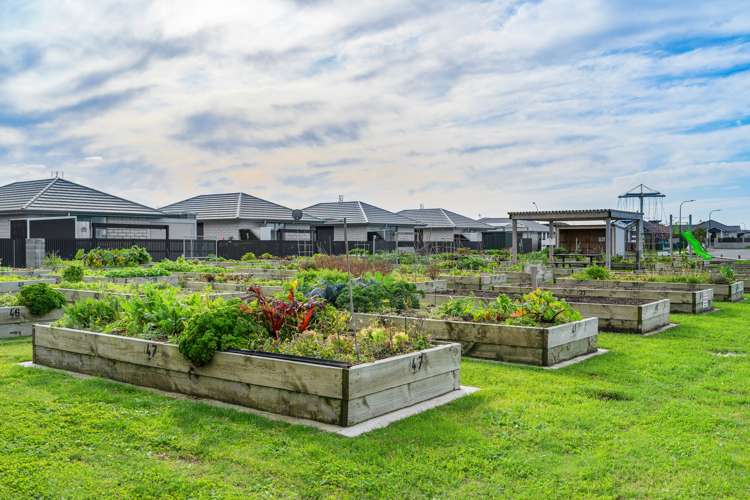 10 Crest Way Papamoa_10