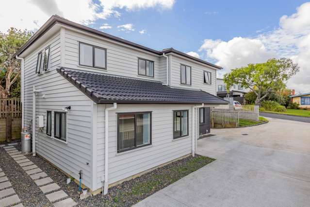 29 Grassways Avenue Pakuranga_1