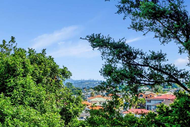 9 Ilex Place Totara Heights_8