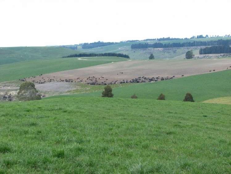 62 Harveys Road Island Cliff_5