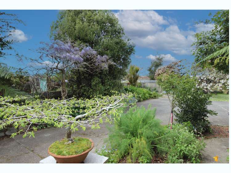 21 Main Street Pahiatua_13