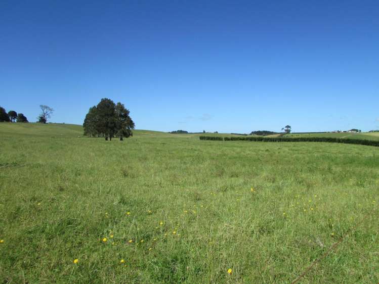 311 Hunt Road Pukekawa_14