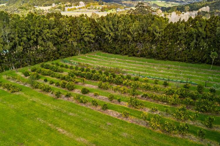 1244A State Highway 10 Kerikeri_13