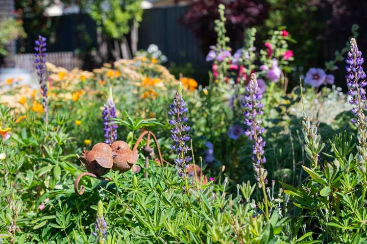 31 Broom Street Naseby_5