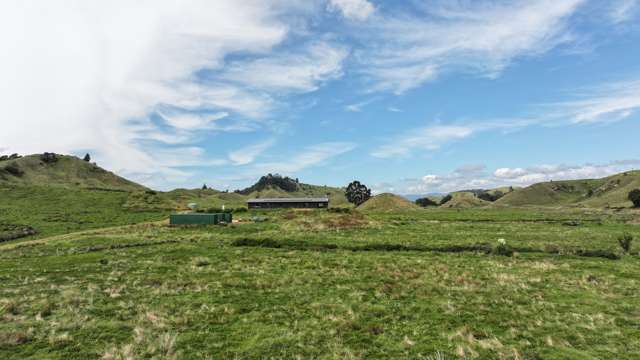 546 Foster Road Taneatua_1