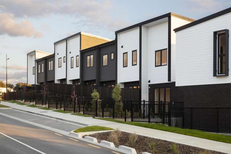 4b Scott Road Stanmore Bay_19