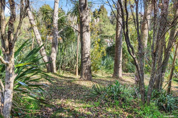 50b Hauiti Drive Warkworth_5