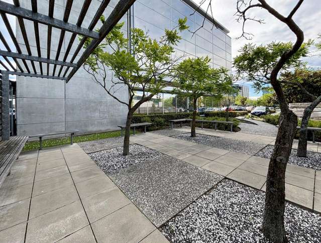 7 Show Place Addington_4