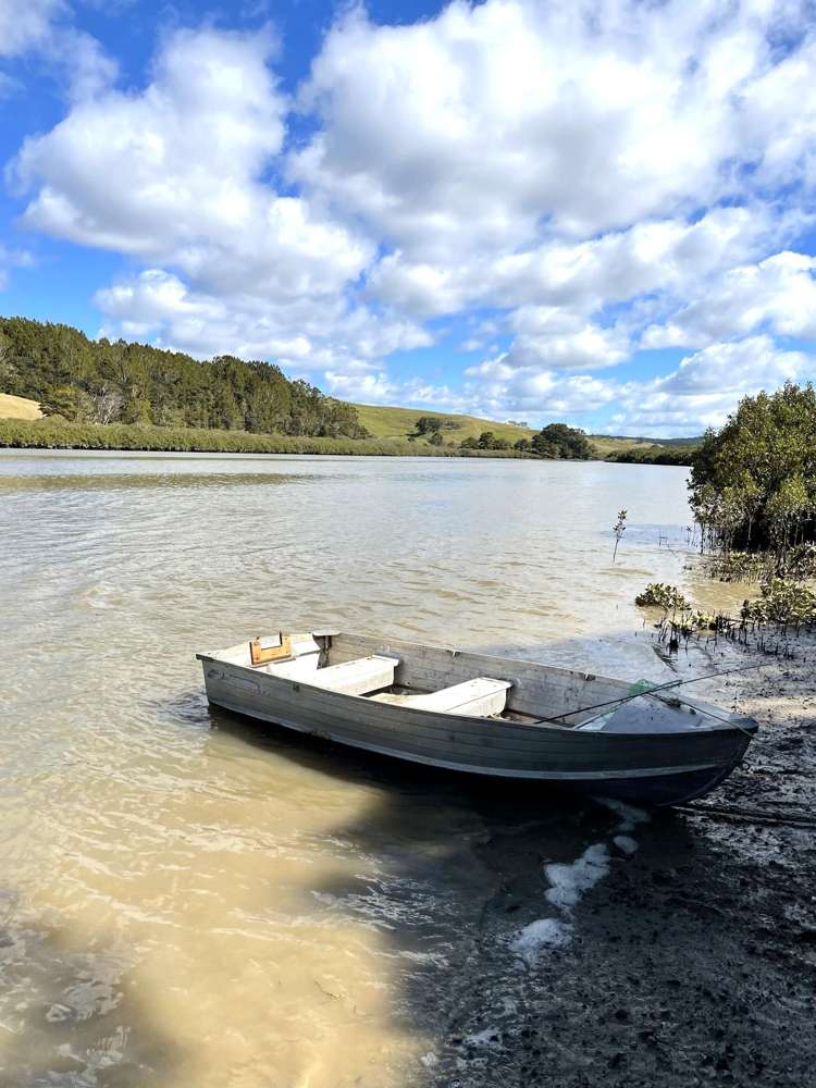 Lot 2 Waimanu Road Wellsford_16