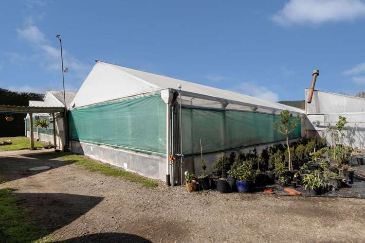 1164 No 3 Road Te Puke_34