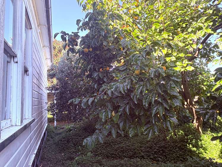 12 Delhi Street Wairoa_25