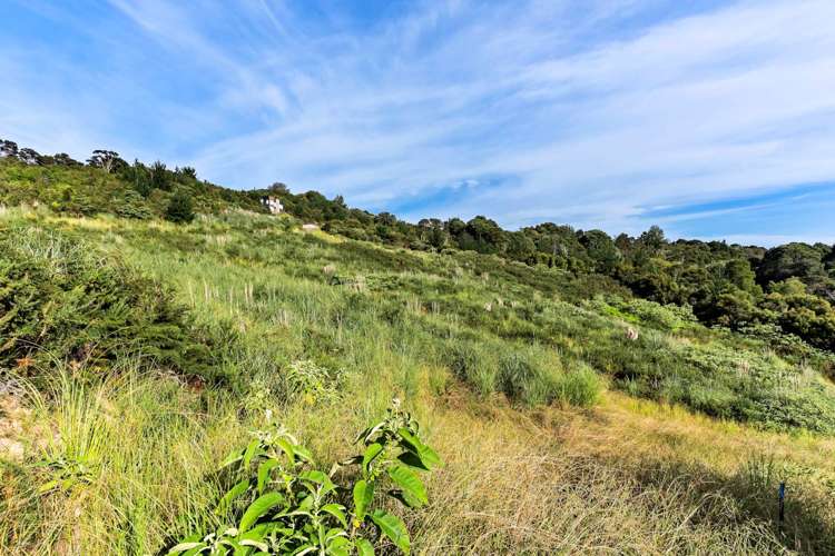 102 Griggs Road East Tamaki Heights_12